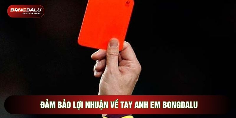 Đảm bảo lợi nhuận về tay anh em Bongdalu