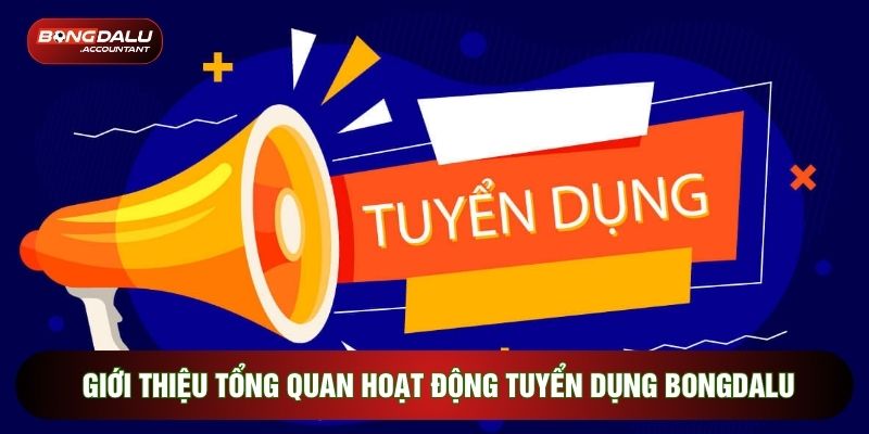 Giới thiệu tổng quan hoạt động tuyển dụng Bongdalu hiện nay