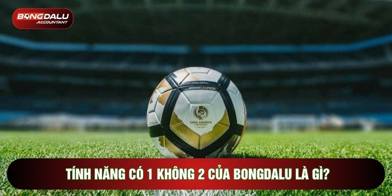 Tính năng có 1 không 2 của Bongdalu là gì?
